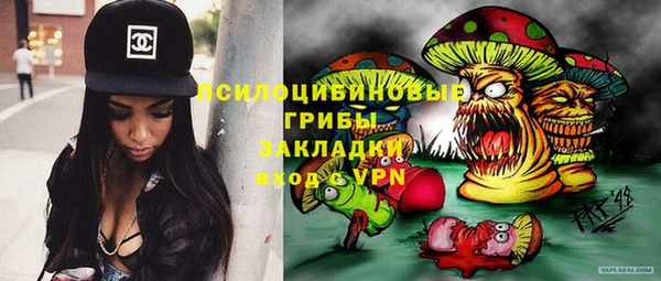 прущий лед Арсеньев