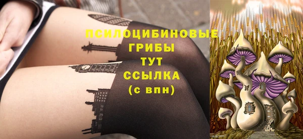 прущий лед Арсеньев