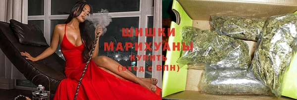 spice Аркадак