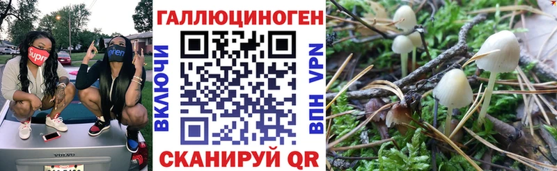 даркнет официальный сайт  Унеча  Галлюциногенные грибы мухоморы 