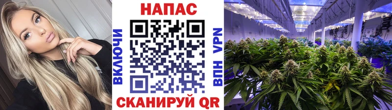 МАРИХУАНА индика Унеча